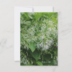 White Garden Flowers Card