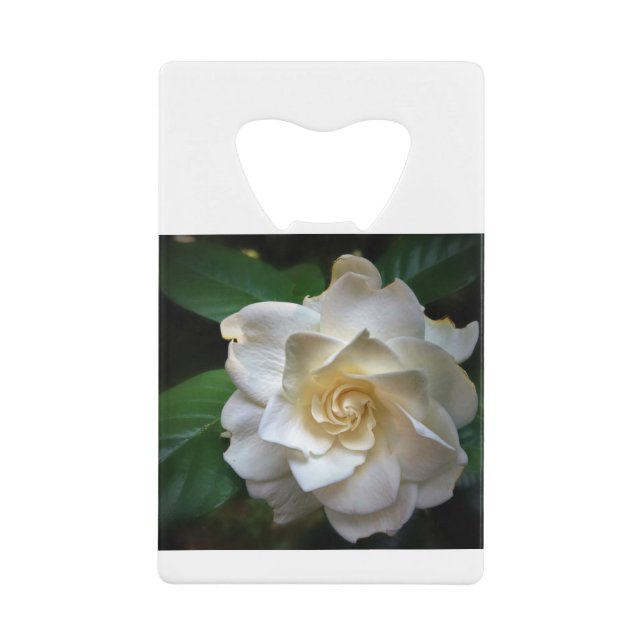 White Gardenia (Front)