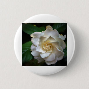 White Gardenia 6 Cm Round Badge