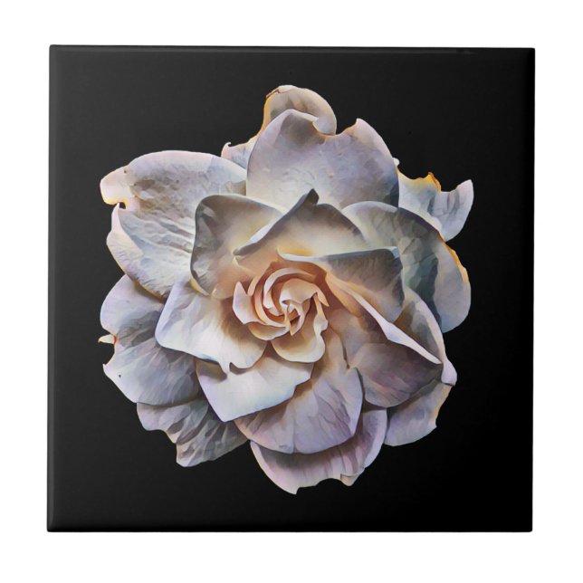 White Gardenia Black Background Ceramic Tile (Front)