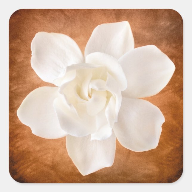 White Gardenia Flower Blossom Floral Square Sticker (Front)