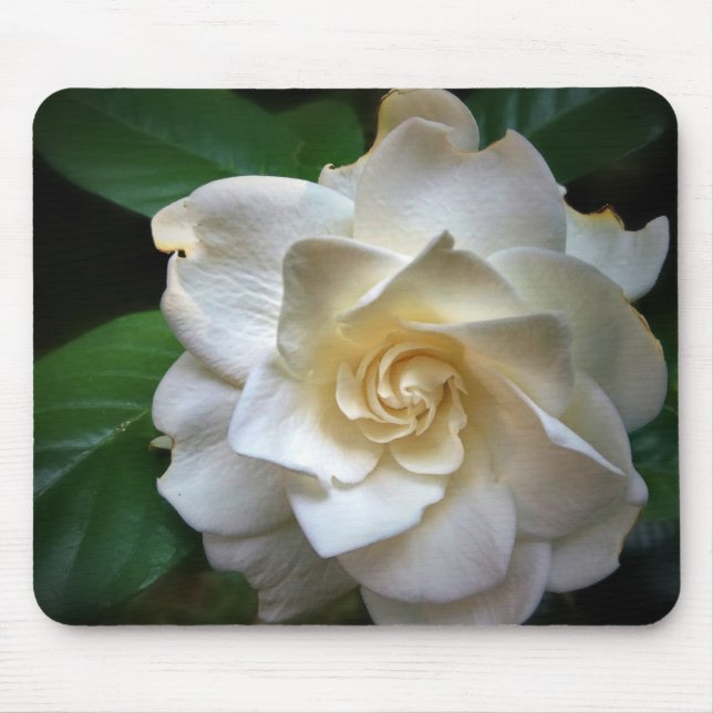 White Gardenia Flower Mouse Pad (Front)