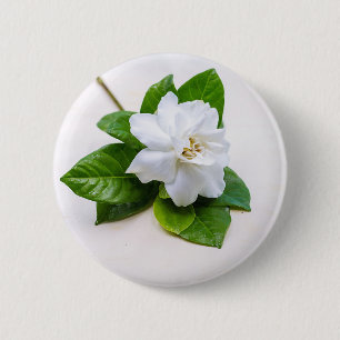 White Gardenia Flowers 6 Cm Round Badge