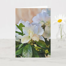White Gardenia Flowers Art Note Card