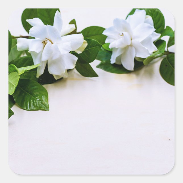 White Gardenia Flowers Square Sticker (Front)