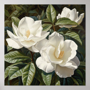 White Gardenias Flower Art Print Poster