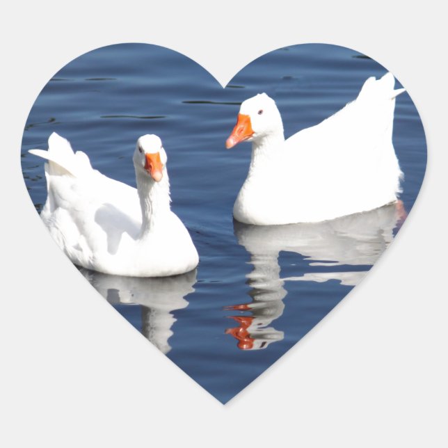 White Geese 9598 Heart Sticker (Front)