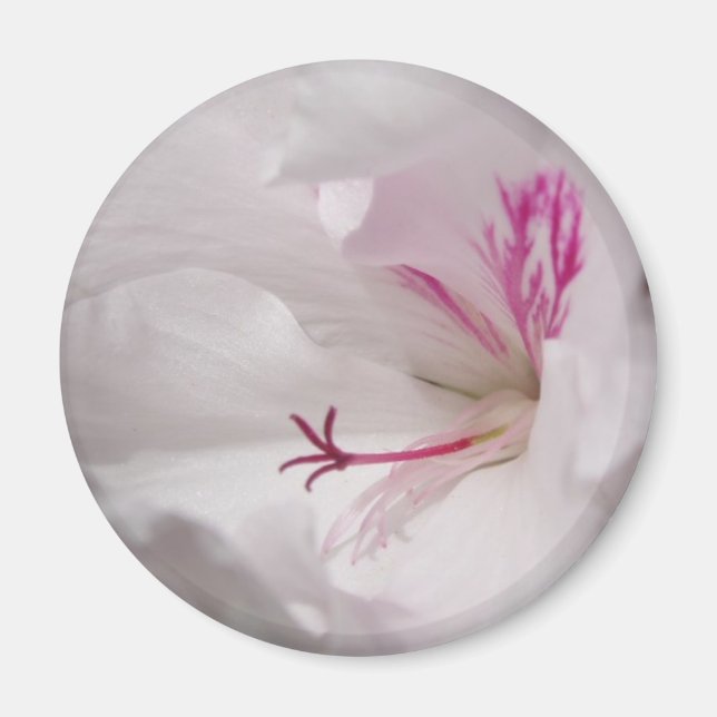 White Geranium Magnet (Front)