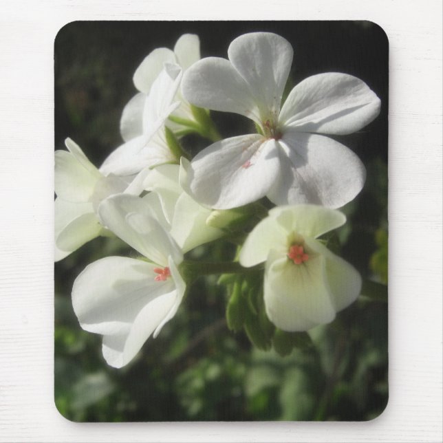 White Geraniums 1 - Simple Pleasures Mouse Pad (Front)