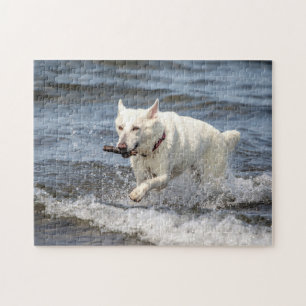 White German Shepard on Lake George Jigsaw Puzzle