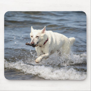 White German Shepard on Lake George Mouse Pad