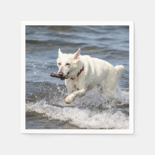 White German Shepard on Lake George Napkin