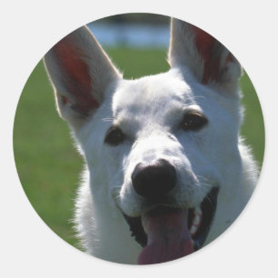 White German Shepherd Classic Round Sticker