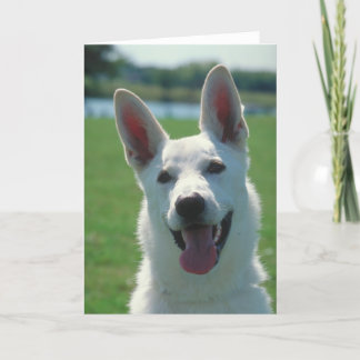 White German Shepherd Dog Card