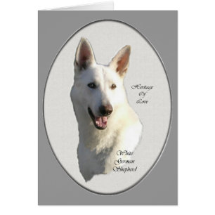 White German Shepherd Gifts