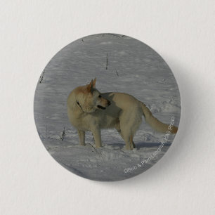White German Shepherd  in the Snow 6 Cm Round Badge