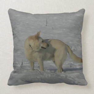 White German Shepherd  in the Snow Cushion