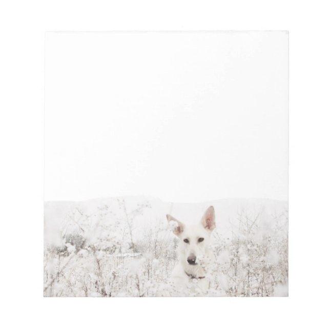 White German Shepherd in the Snow Notepad (Front)