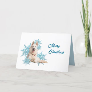White German Shepherd laying in the Snowflakes Holiday Card