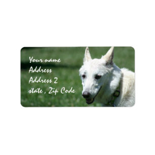 White German Shepherd Shipping Labels