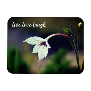 White Gladiolus Garden Flower Motivational Magnet