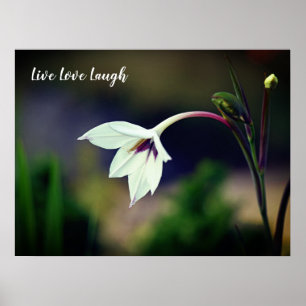 White Gladiolus Garden Flower Motivational Poster