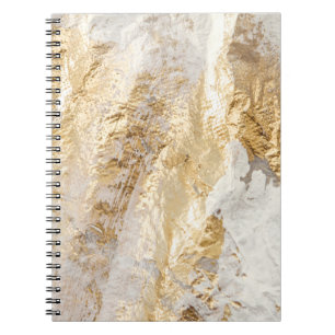 White-gold brush painted texture. notebook
