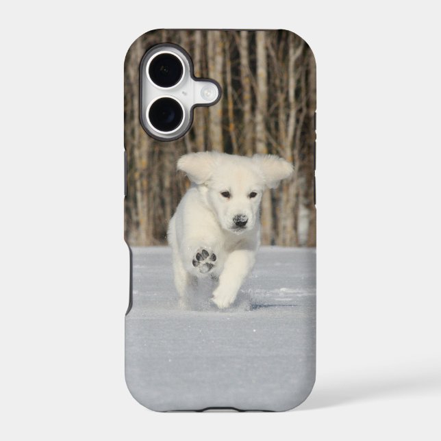 White Golden Retriever Puppy in Snow (Back)