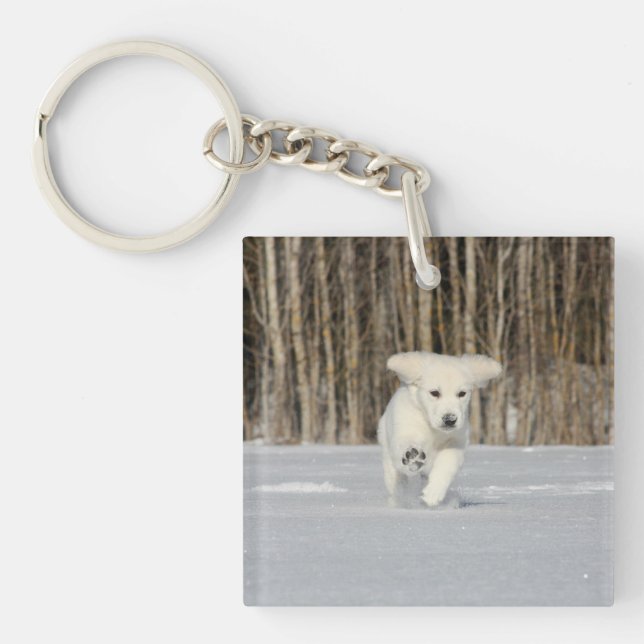 White Golden Retriever Puppy in Snow Key Ring (Front)