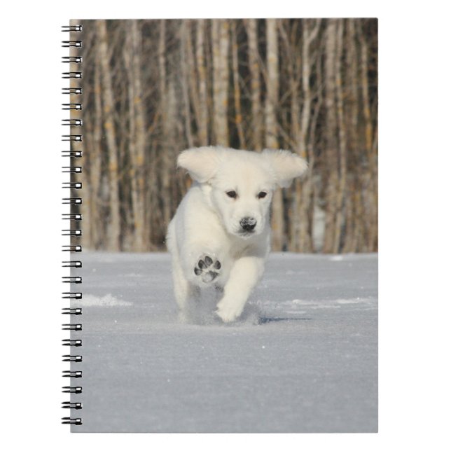 White Golden Retriever Puppy in Snow Notebook (Front)
