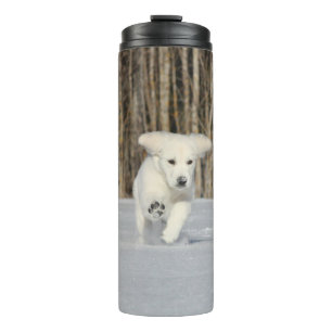White Golden Retriever Puppy in Snow Thermal Tumbler