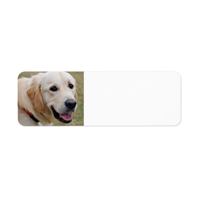 White Golden Retriever Return Address Label (Front)