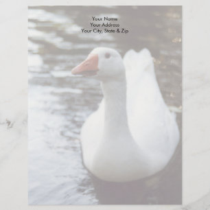 White Goose Customized Letterhead