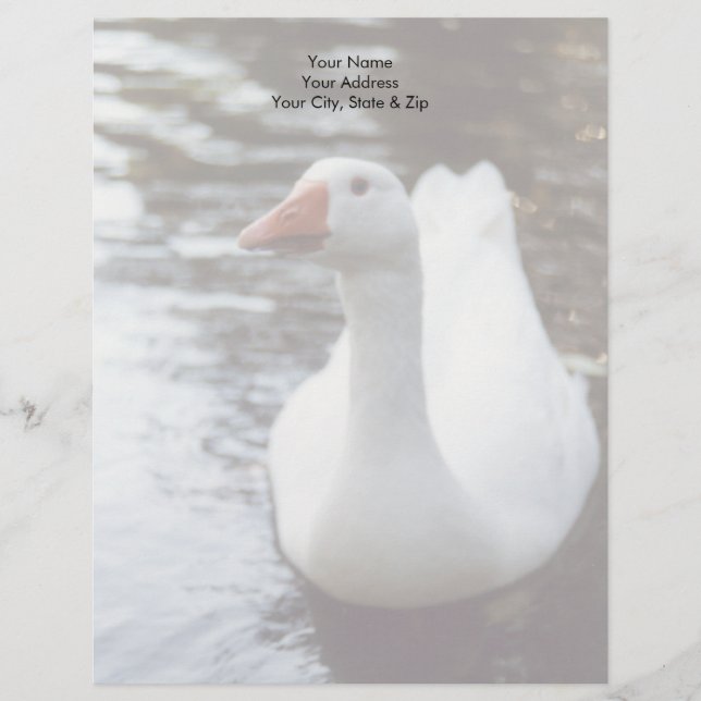White Goose Customized Letterhead (Front)
