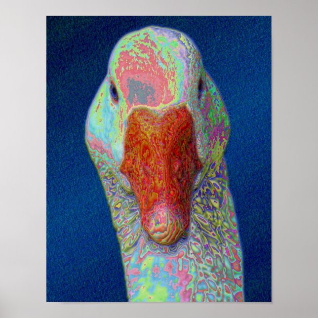 White Goose Face Abstract Farm Animal Art Poster (Front)