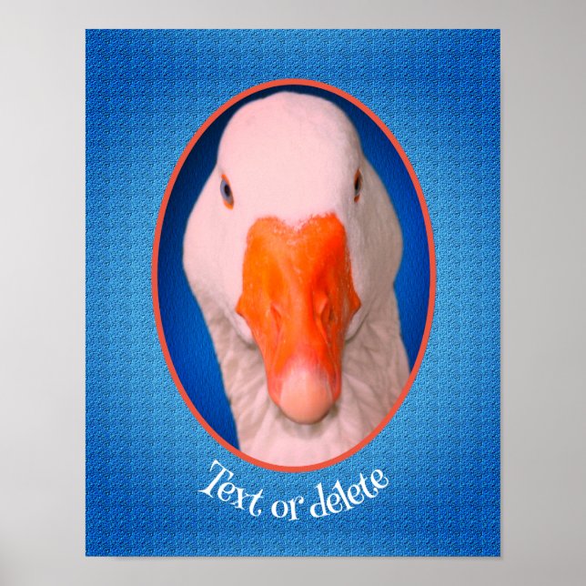 White Goose Face Farm Animal Personalised   Poster (Front)