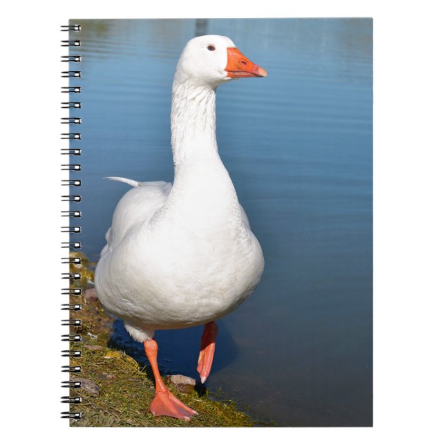 White goose on grass notebook (Front)