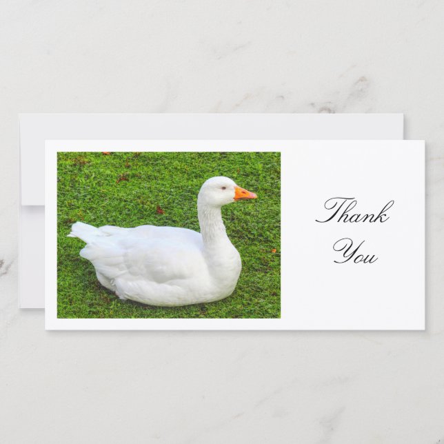 White Goose - Thank You Card (Front)