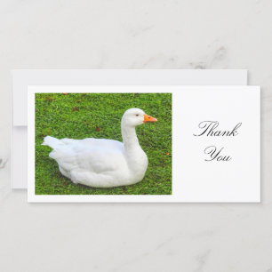 White Goose - Thank You Card