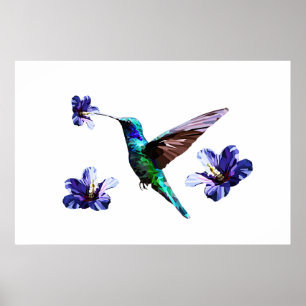 White Gorgeous Hummingbird/Hibiscus Poster