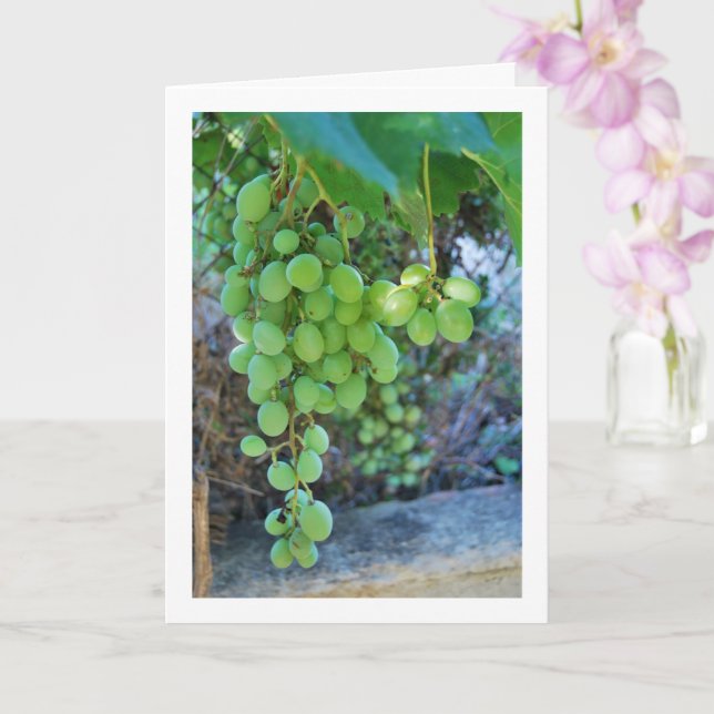 White Grape Vine Portrait Card (Orchid)