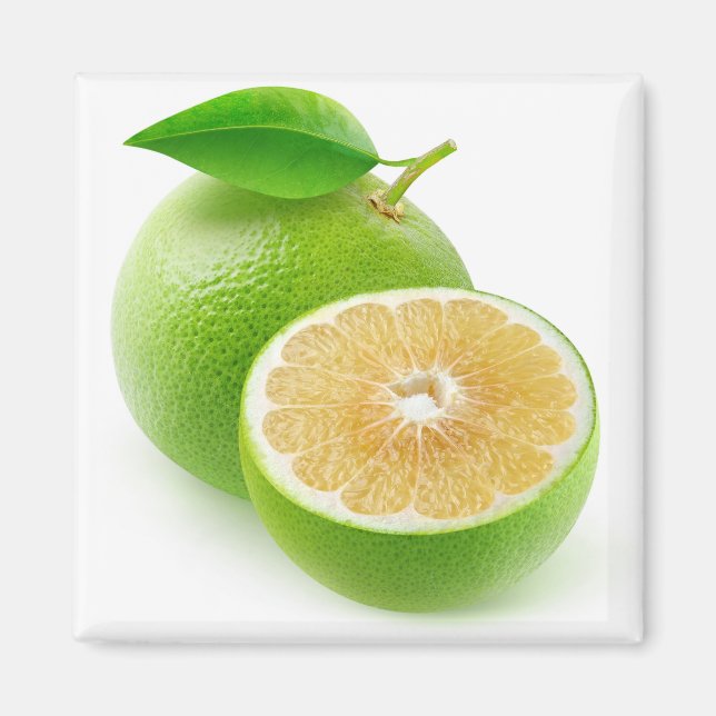 White grapefruit magnet (Front)
