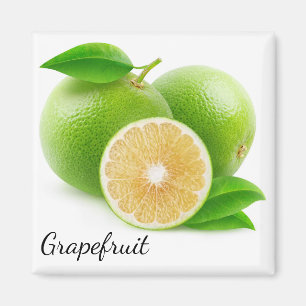 White grapefruit magnet