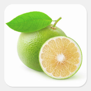 White grapefruit square sticker