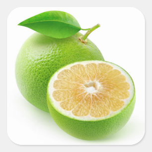 White grapefruit square sticker