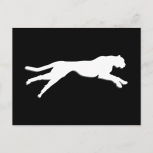 White graphic art cheetah postcard