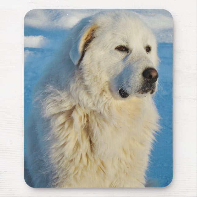 White Great Pyrenees Livestock Guardian Dog Mouse Pad (Front)