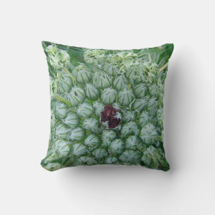 White-green wild flowers with red center cushion