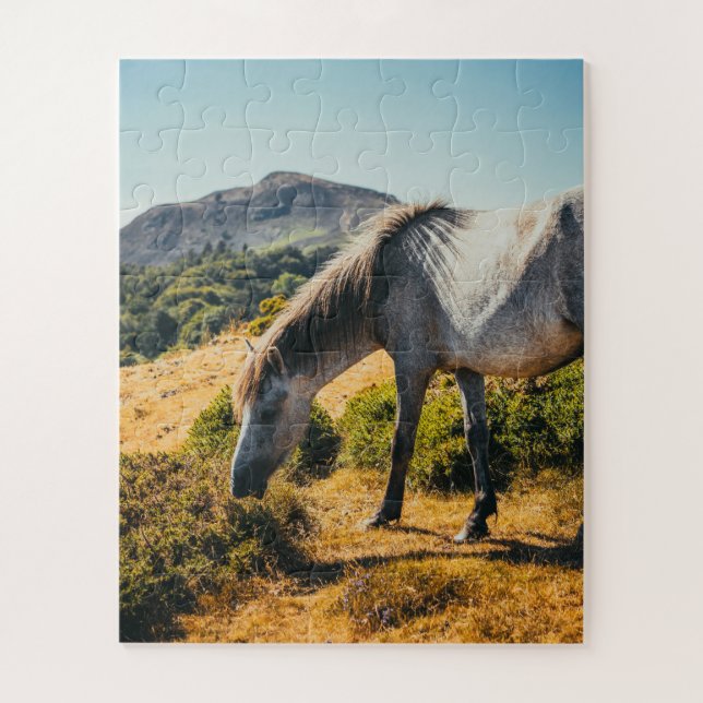 White & Grey Horse Grazing with Sun Shining Down Jigsaw Puzzle (Vertical)