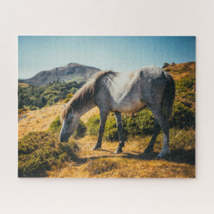 White & Grey Horse Grazing with Sun Shining Down Jigsaw Puzzle